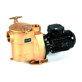 Sta Rite Bronze Pumpe BRC 1 0,37 kW 230V