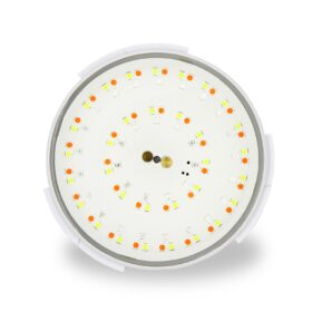 Duratech LED Pool Lampe 100 RGB