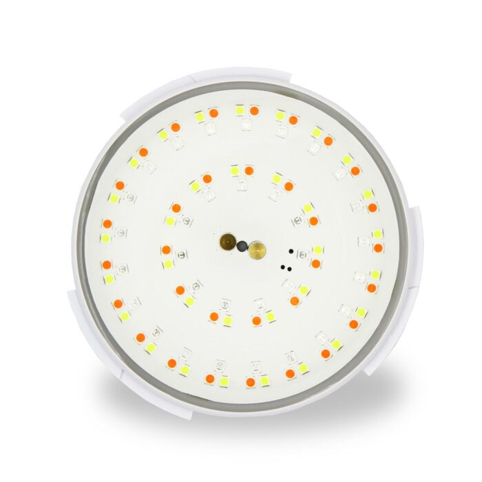 Duratech LED Pool Lampe 100 RGB